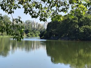 Ibirapuera Park